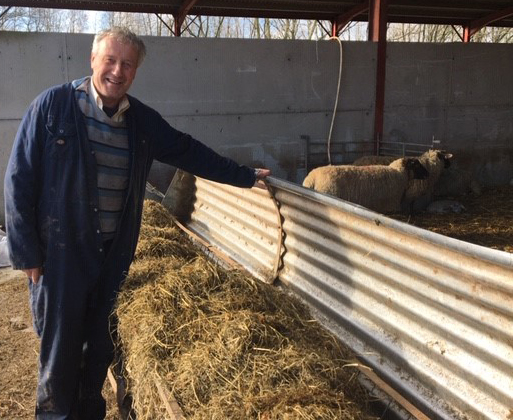 Silage Quality is on top with Film and Film Wrapping