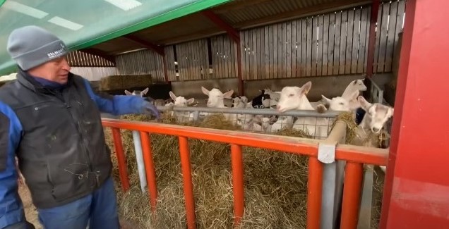 Goat farmers from Abergavenny claim top Big Bale silage award for 2020-21