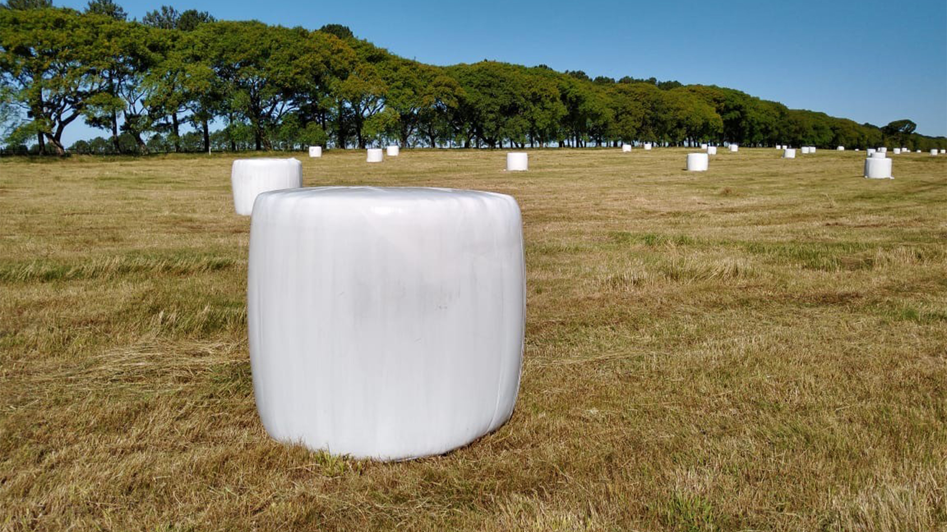 ベールネット サイレージ用【幅→1050mm 長さ→2000m】畜産牧草用 1050mm×